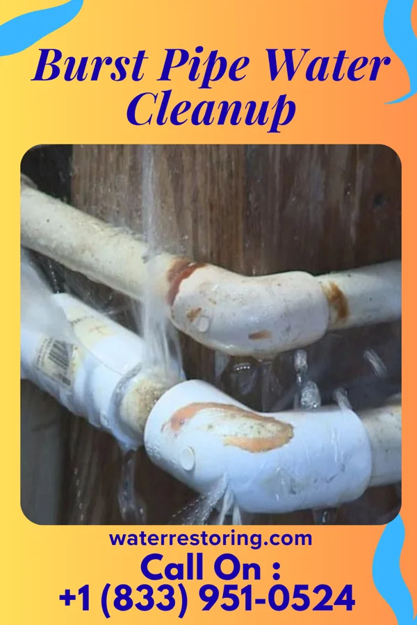 Burst Pipe Water Cleanup in Springdale, MD