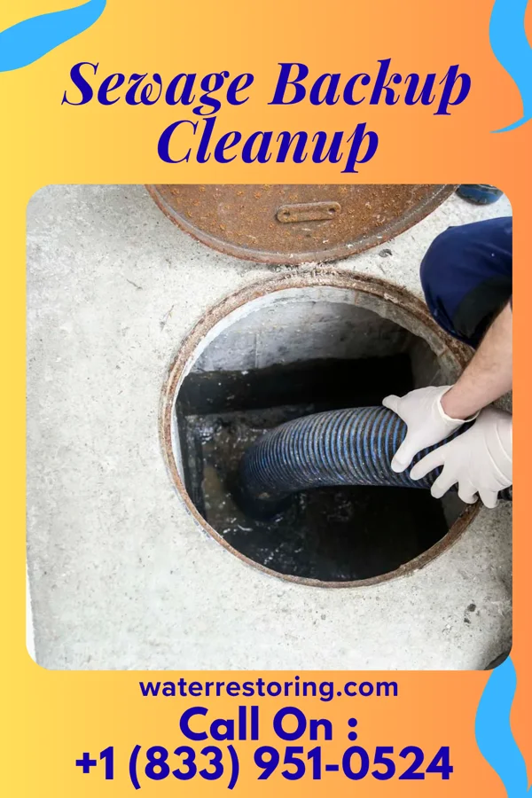 Sewage Backup Cleanup in Springdale, MD